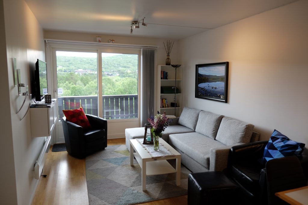 Stue med sovesofa 407